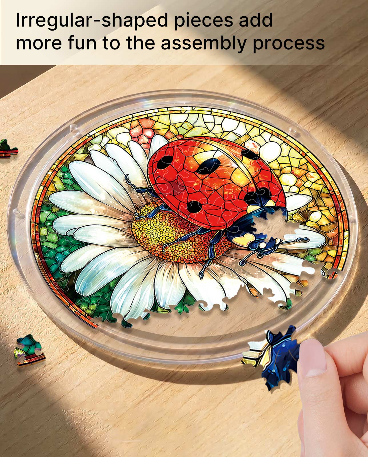 Acrylic Jigsaw Puzzle Suncatcher - Ladybug on Daisy