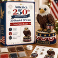 American flag theme