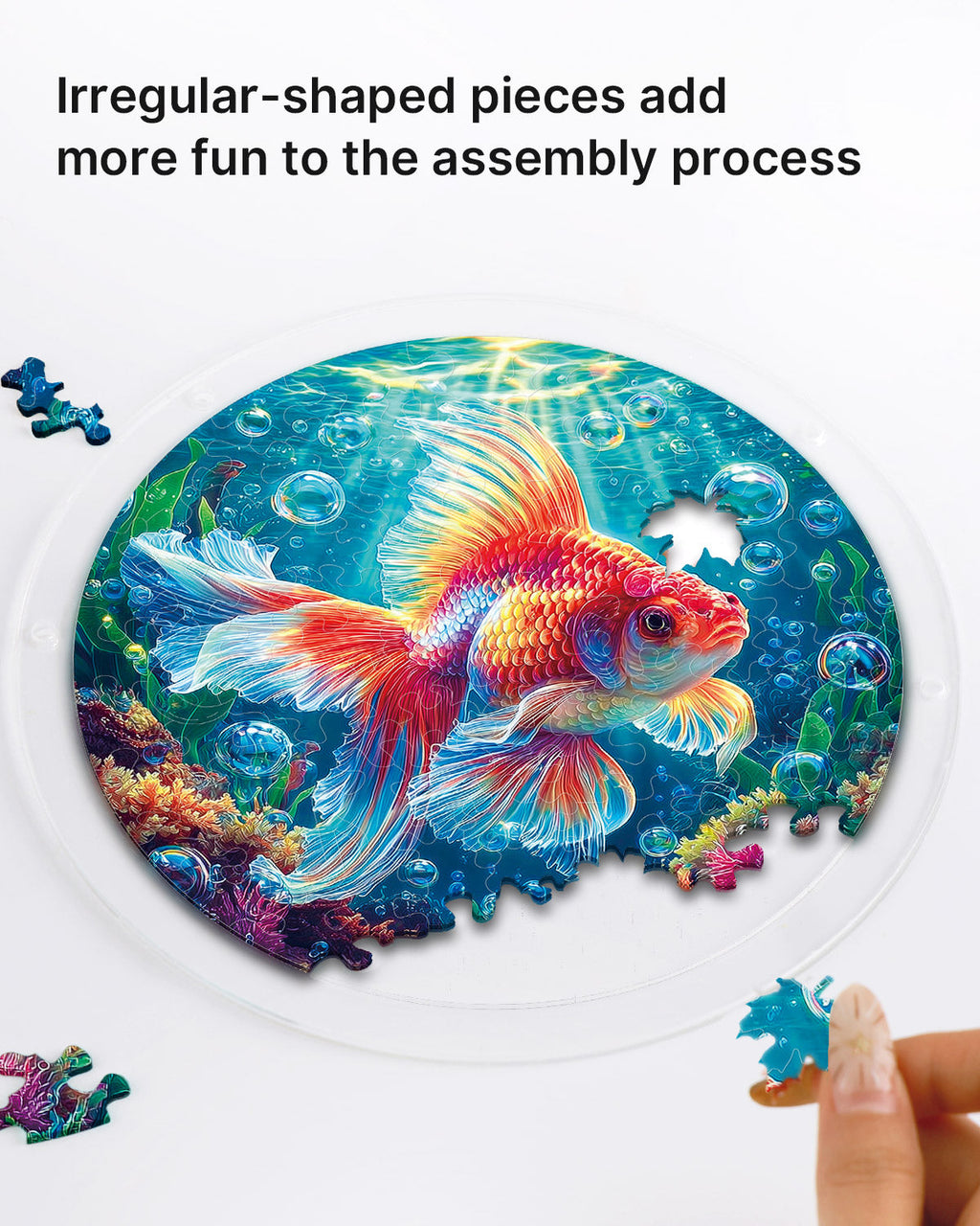 Starflame Goldfish Light Suncatcher-Acrylic Window Art