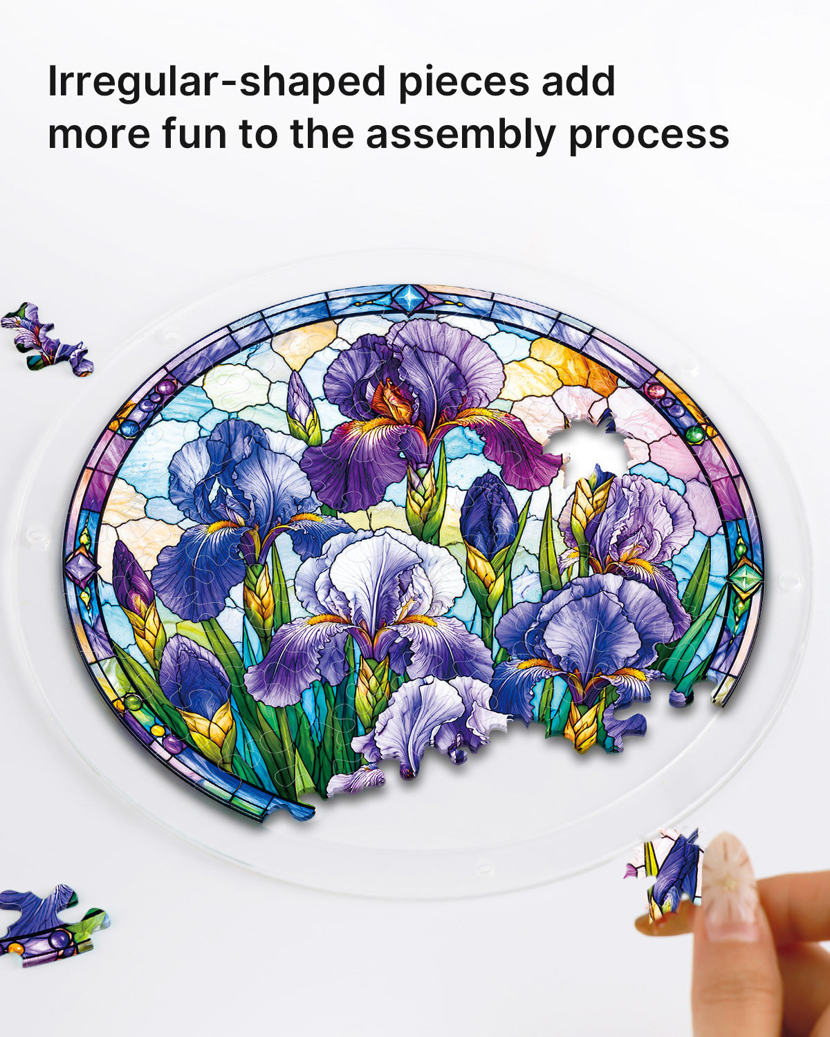 Iris Morning Light Light Suncatcher-Acrylic Window Art